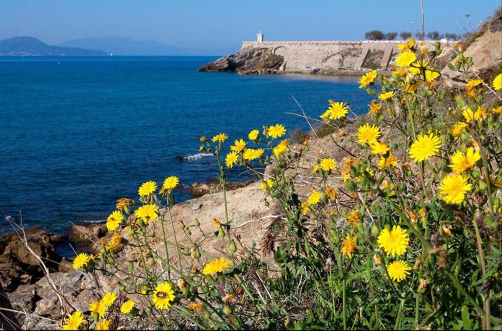 Hotel Roma Piombino Extérieur photo